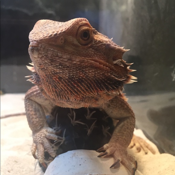 Welcome to my closet! - Picture 2 of 2